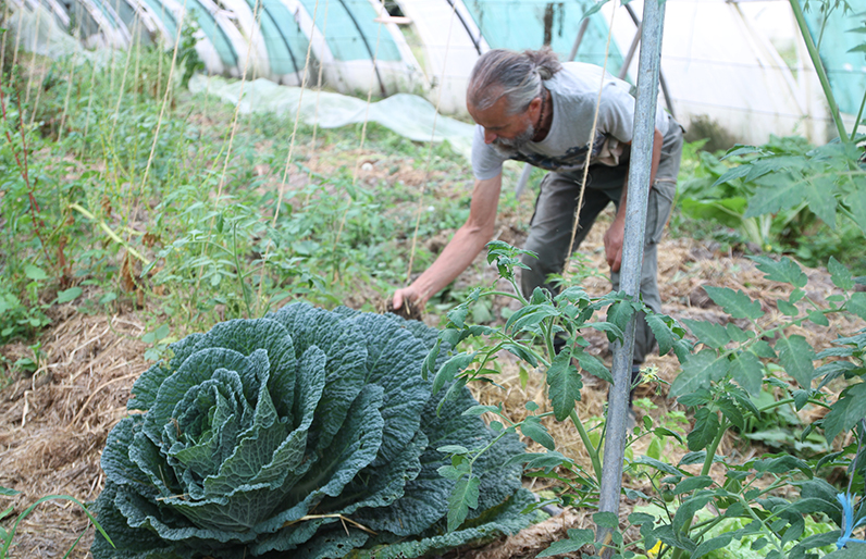 Image of a farm